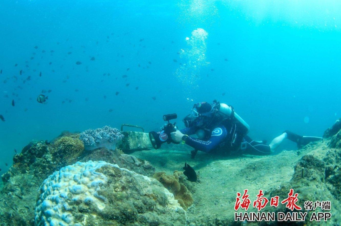 次元喵